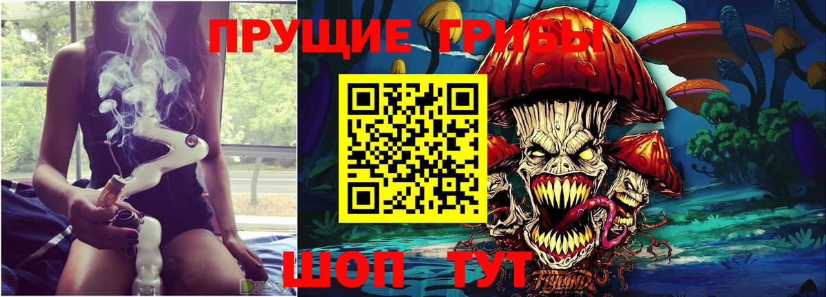 Псилоцибиновые грибы мухоморы Вологда