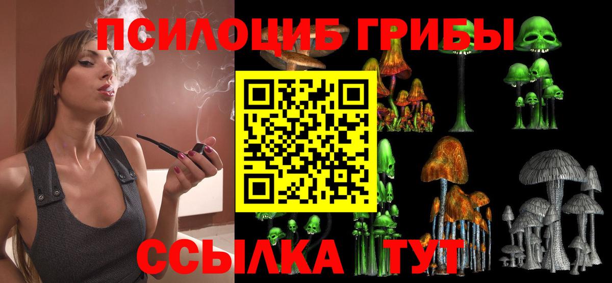 Вологда  Галлюциногенные грибы Magic Shrooms  Вход с VPN 